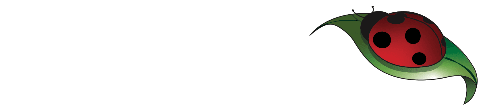 Arteidea